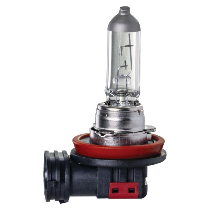 Ignite H16 12V 19W PGJ19-3 Base Long Life (PKT1) Blister