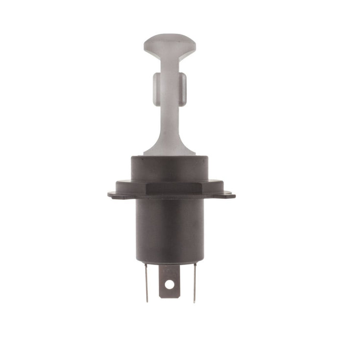 Ignite H4 LED Retrofit Globe 12/24V (PKT2)