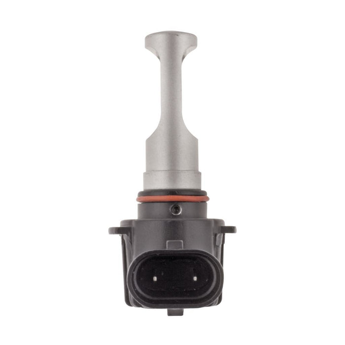 Ignite H10 LED RETROFIT GLOBE 12/24V (PKT2)