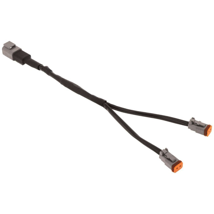 Ignite Y Harness