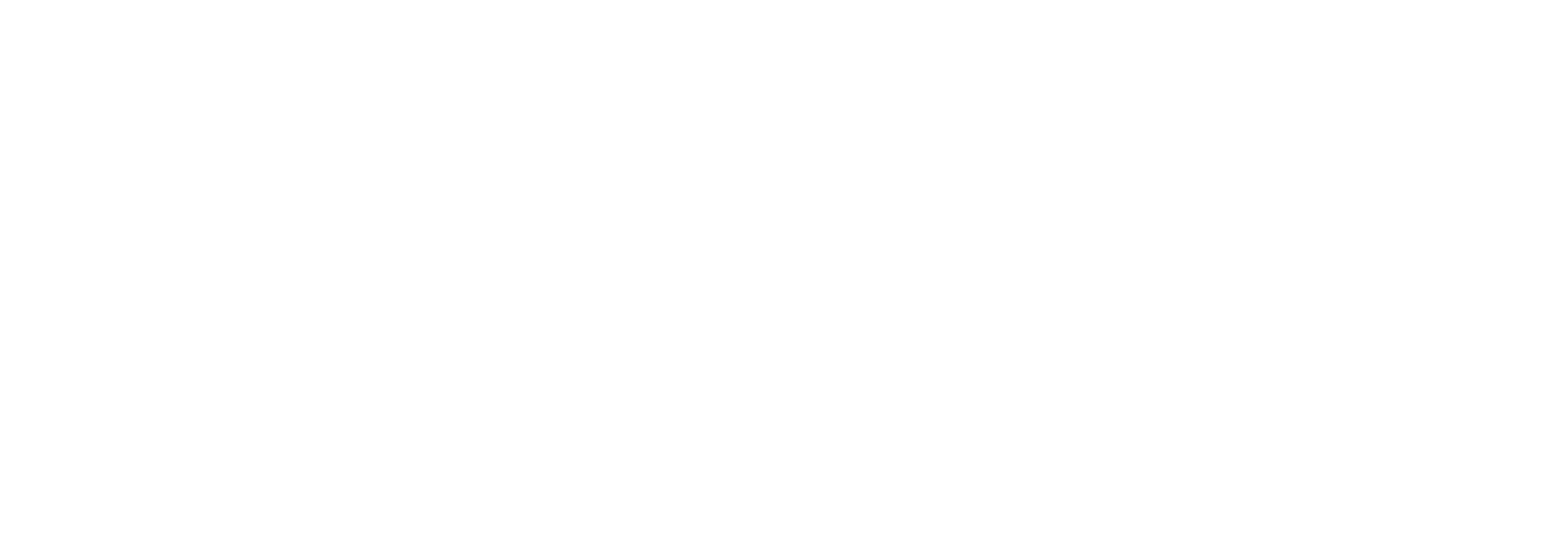 Lightforce VIPER 10 INCH DUAL ROW LED LIGHT BAR