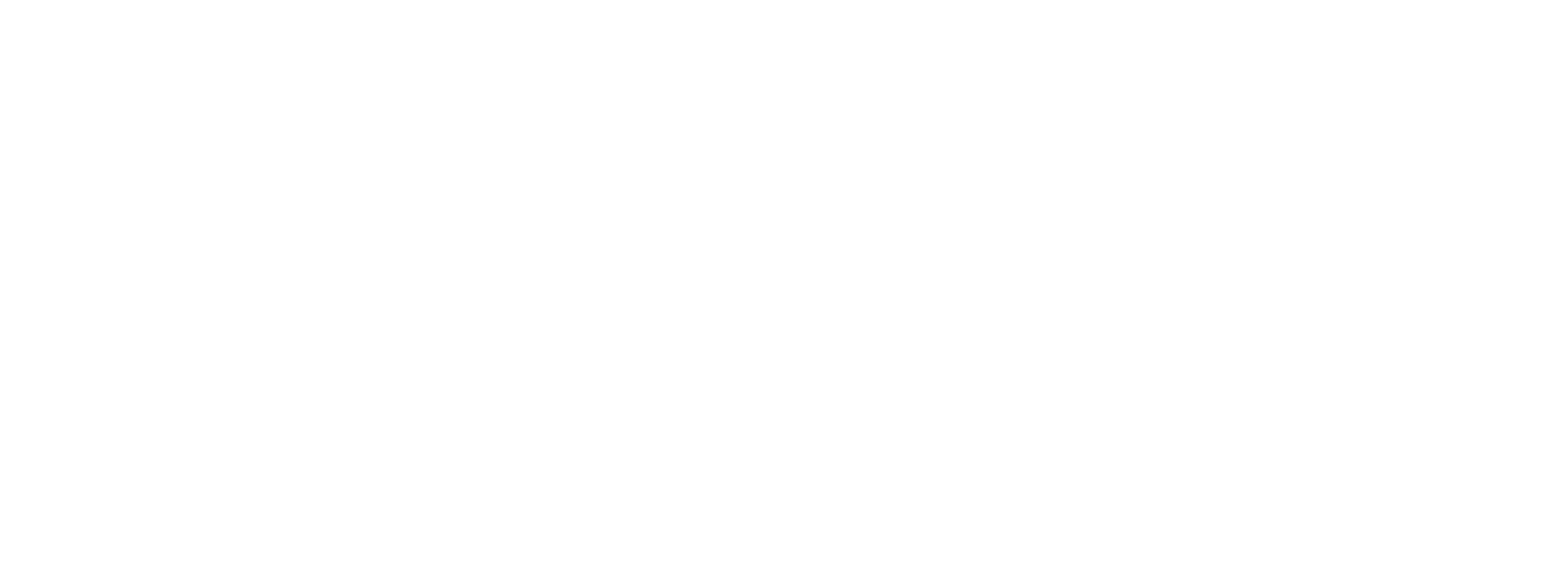 Lightforce VIPER 20 INCH AMBER DUAL ROW LED LIGHT BAR