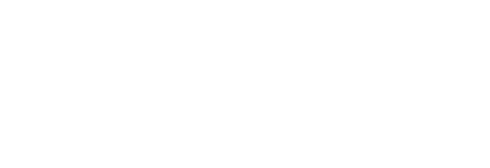 Lightforce VIPER 50 INCH DUAL ROW LED LIGHT BAR